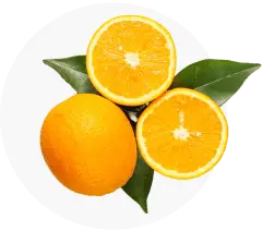 Vitamin C ingredient in Purisaki Detox Foot Patches - antioxidant and anti-inflammatory